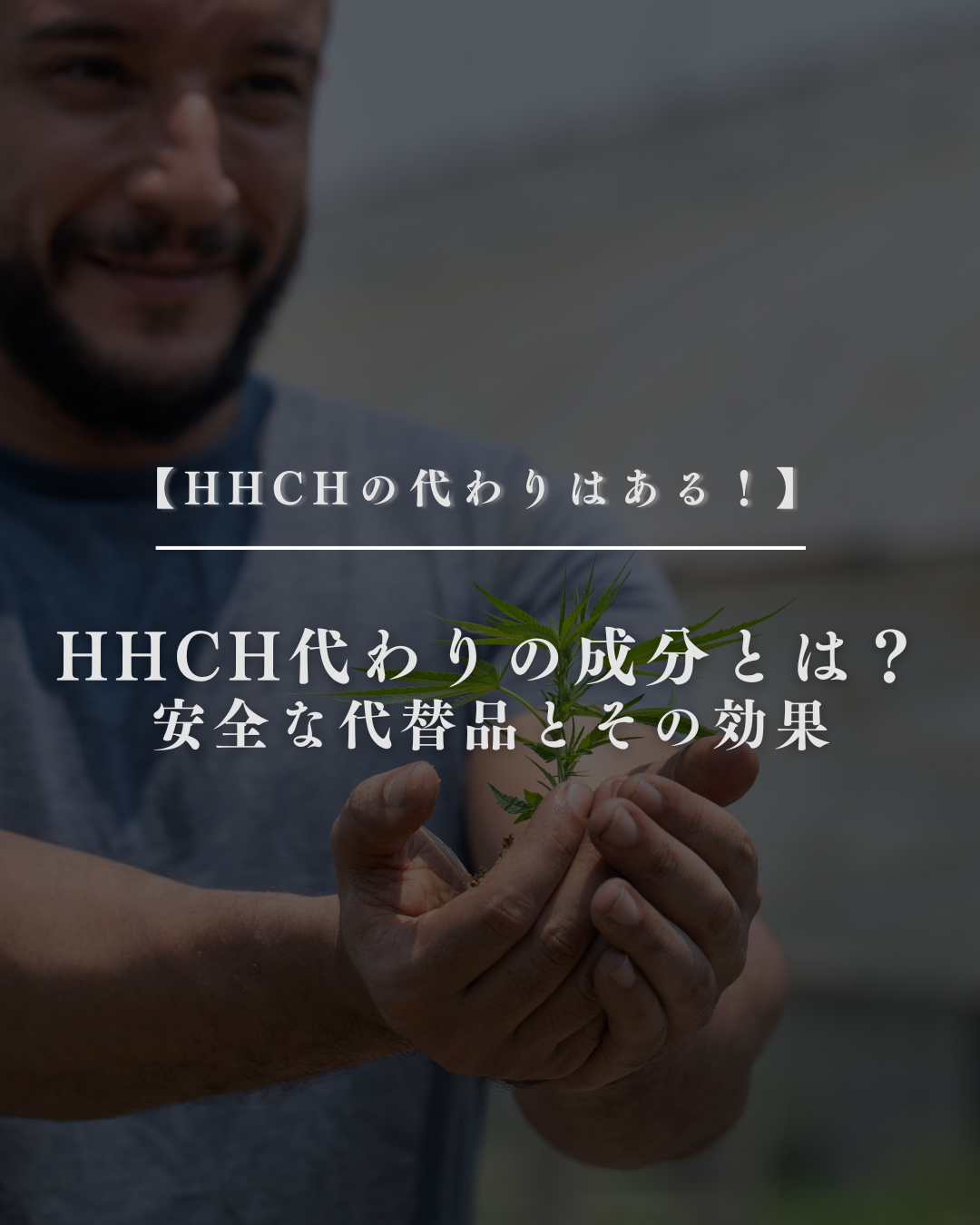 HHCH代わりの成分とは？安全な代替品とその効果 – GEISHA BRAND