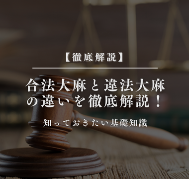 合法大麻と違法大麻の違いを徹底解説！知っておきたい基礎知識