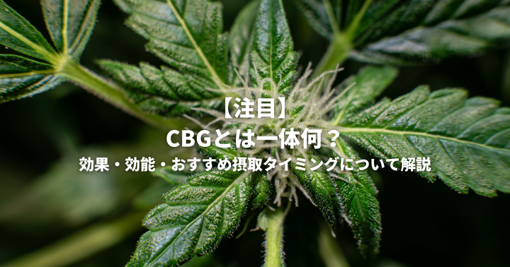 【注目】CBGとは一体何？効果・効能・おすすめ摂取タイミングについて解説