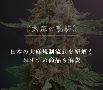 【大麻の軌跡】日本の大麻規制流れを紐解く