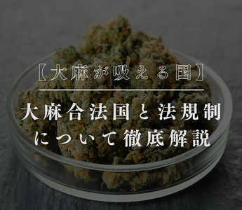 【大麻が吸える国】大麻合法国と法規制について徹底解説