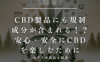 【注目】CBD製品にも規制成分が含まれる！？安心・安全にCBDを楽しむために - GEISHA BRAND