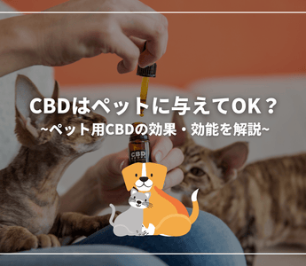 CBDはペットに与えてOK？ペット用CBDの効果・効能を解説 - GEISHA BRAND