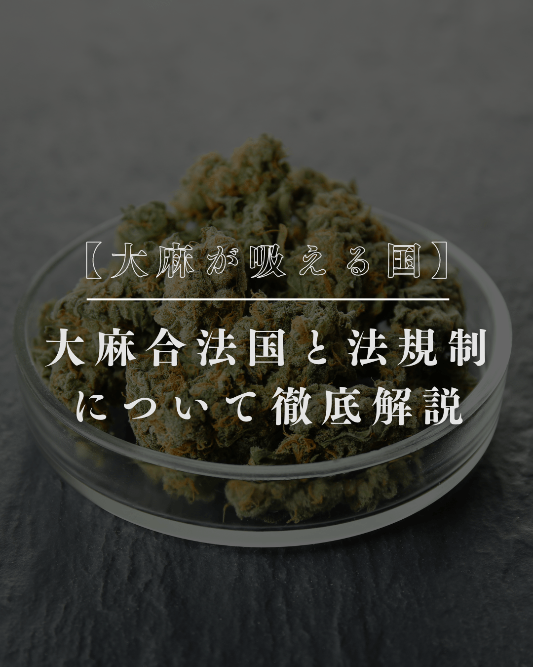 【大麻が吸える国】大麻合法国と法規制について徹底解説 – GEISHA BRAND