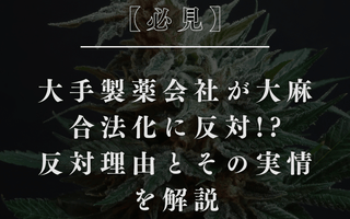 【必見】大手製薬会社が大麻合法化に反対!?反対理由とその実情を解説 - GEISHA BRAND