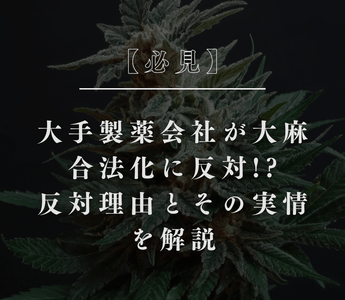 【必見】大手製薬会社が大麻合法化に反対!?反対理由とその実情を解説 - GEISHA BRAND