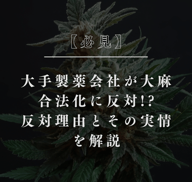 【必見】大手製薬会社が大麻合法化に反対!?反対理由とその実情を解説 - GEISHA BRAND