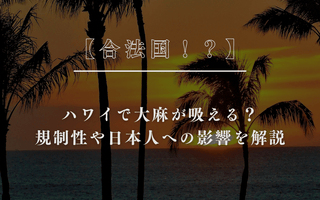 【合法国！？】ハワイで大麻が吸える？規制性や日本人への影響を解説 - GEISHA BRAND