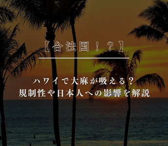 【合法国！？】ハワイで大麻が吸える？規制性や日本人への影響を解説 - GEISHA BRAND