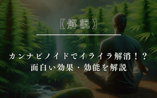 【解説】カンナビノイドでイライラ解消！？面白い効果・効能を解説 - GEISHA BRAND