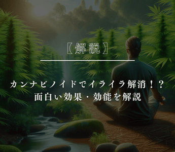 【解説】カンナビノイドでイライラ解消！？面白い効果・効能を解説 - GEISHA BRAND
