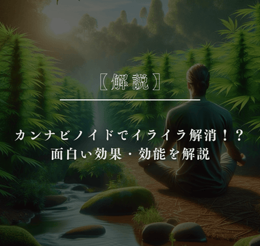 【解説】カンナビノイドでイライラ解消！？面白い効果・効能を解説 - GEISHA BRAND