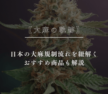 【大麻の軌跡】日本の大麻規制流れを紐解く - GEISHA BRAND