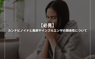 【必見】カンナビノイドと風邪やインフルエンザの関係性について - GEISHA BRAND