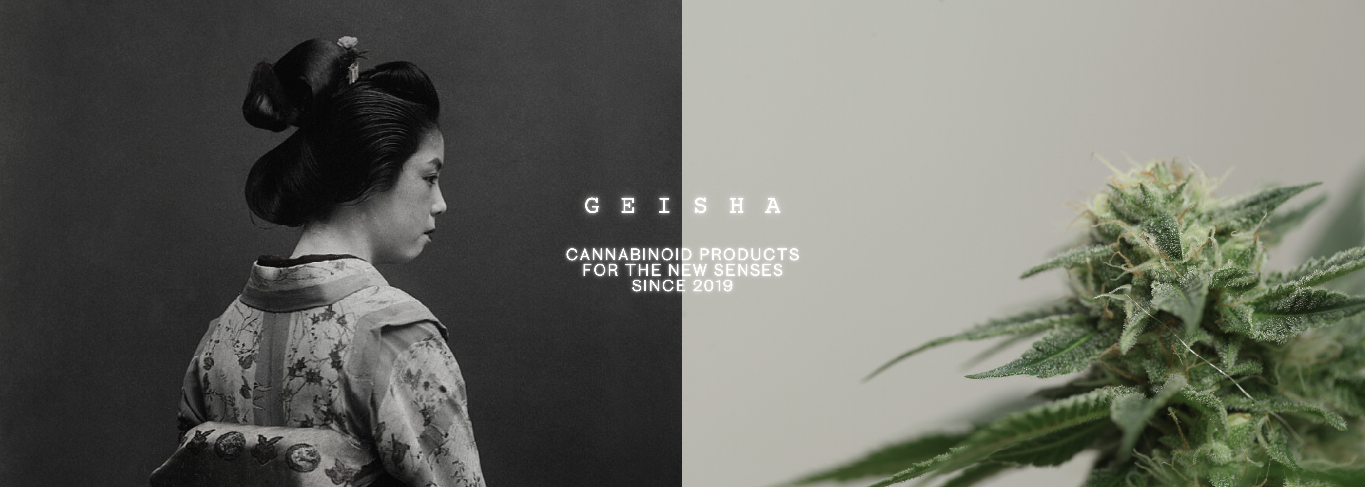 GEISHA BRAND GEISHA BRAND
