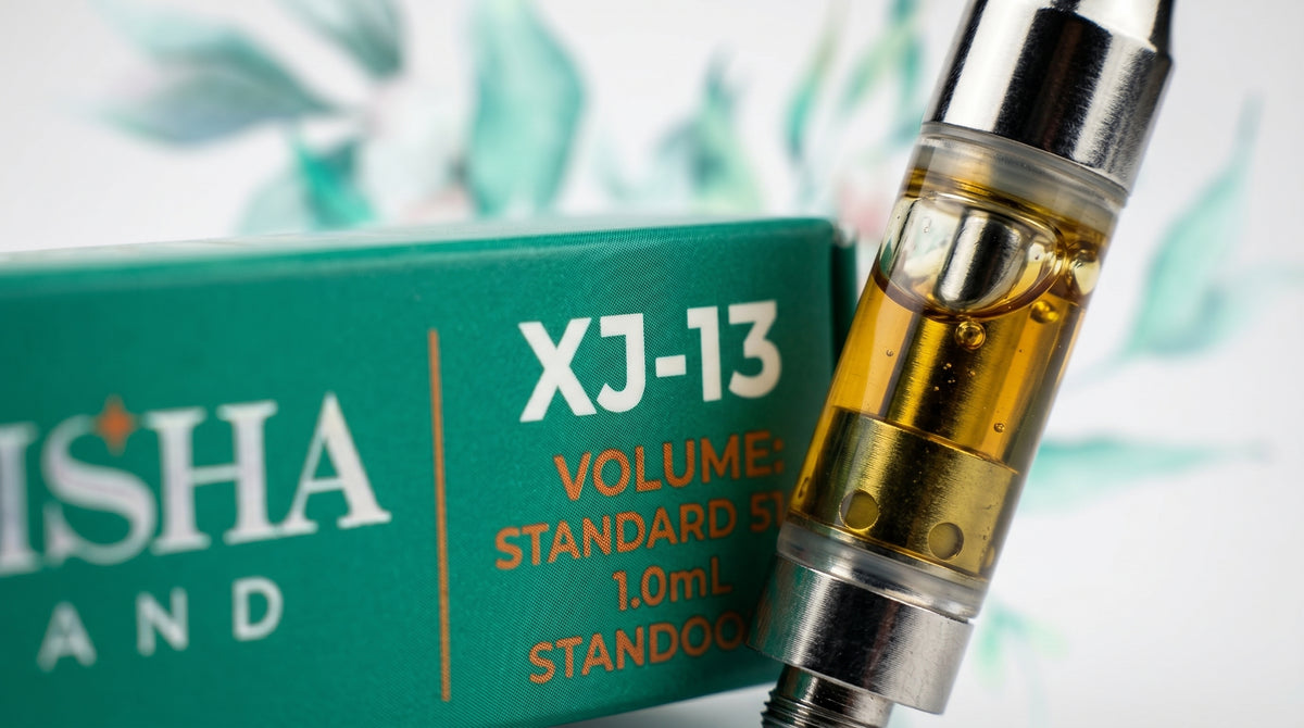 XJ-13
